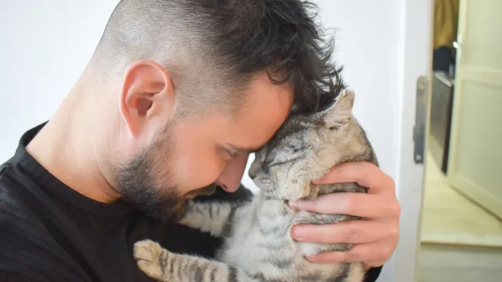 Es fundamental demostrar el vínculo con el animal en los conflictos de custodia de mascotas tras separación